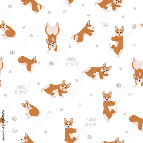 Yoga dogs poses and exercises. Welsh corgi pembroke seamless pattern