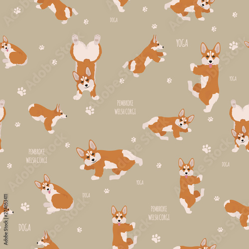 Yoga dogs poses and exercises. Welsh corgi pembroke seamless pattern