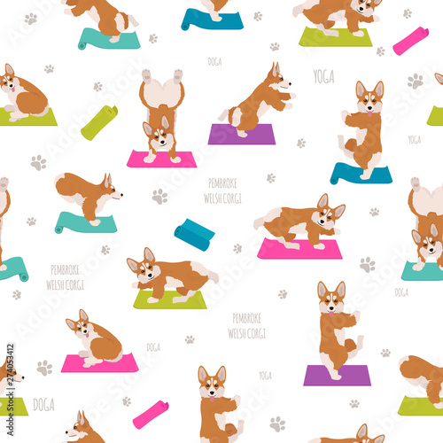 Yoga dogs poses and exercises. Welsh corgi pembroke seamless pattern