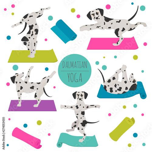 Yoga dogs poses and exercises. Dalmatian clipart