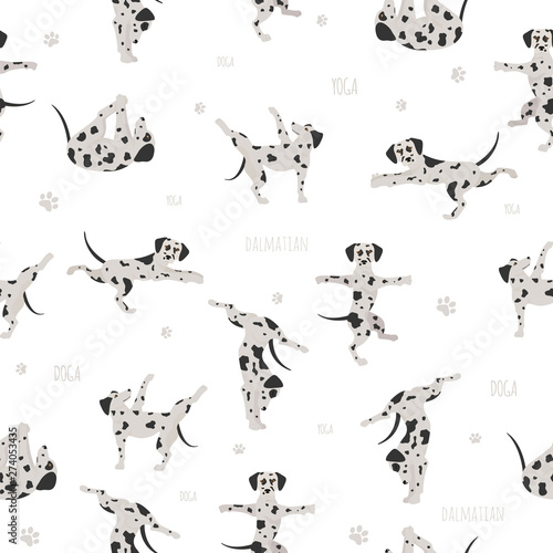 Yoga dogs poses and exercises. Bull terrier clipart
