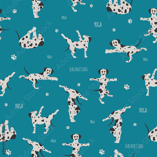 Yoga dogs poses and exercises. Bull terrier clipart
