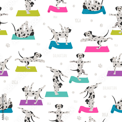 Yoga dogs poses and exercises. Bull terrier clipart