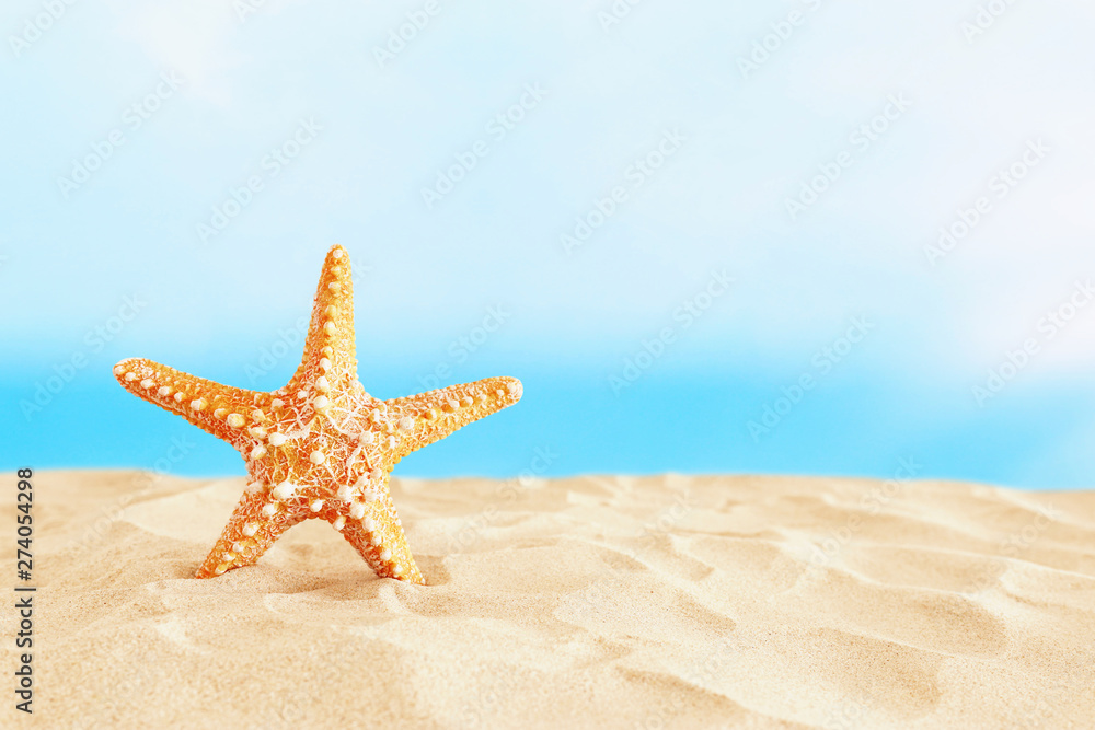 holidays. sand beach and starfish in front of summer sea background with copy space holidays. sand beach and starfish in front of summer sea background with copy space