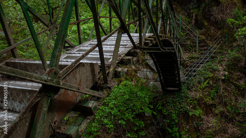 old bridge in the forest