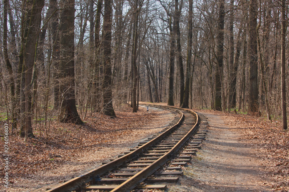 One-way railroad track through bare early spring forest One-way railroad track through bare early spring forest