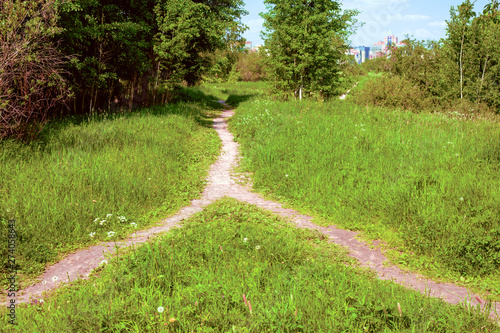In the park on the approach to the city, two paths merged into one. Summer landscape