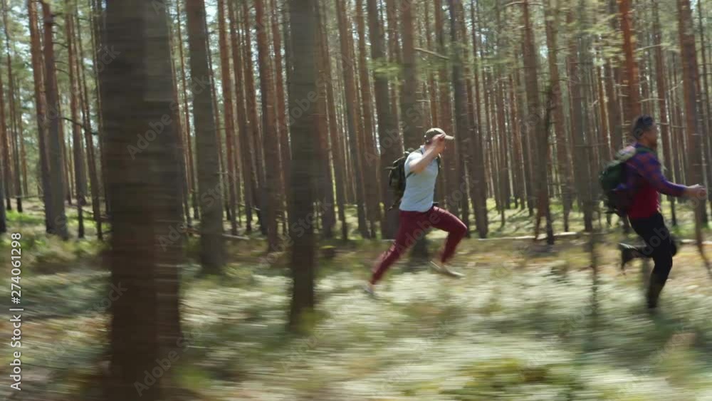 Two frightened young men with backpacks running fast from beast among trees in forest and screaming, tracking right shot