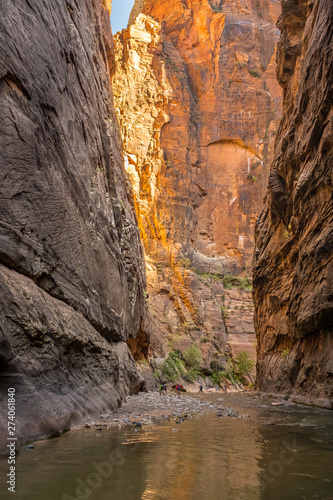 The spectacular and stunning Virgin River weaves through the Narrows, Zion National Park, USA
