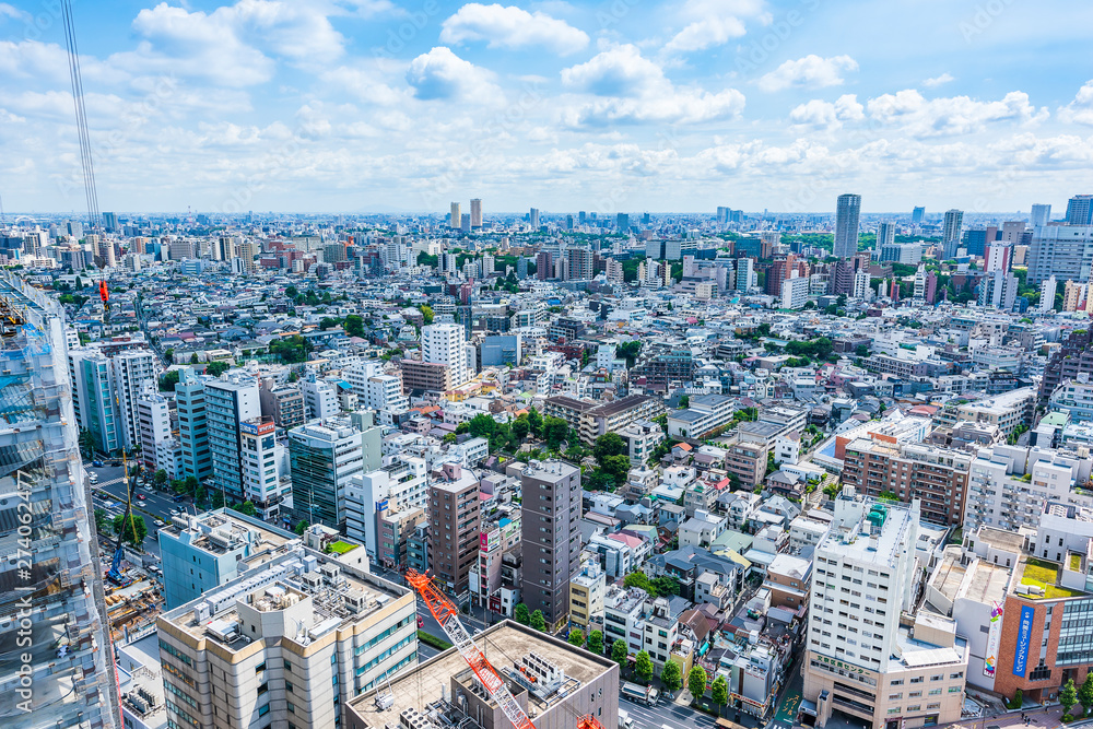 Fototapeta premium Krajobraz Tokio Panoramę miasta Tokio, Japonia.
