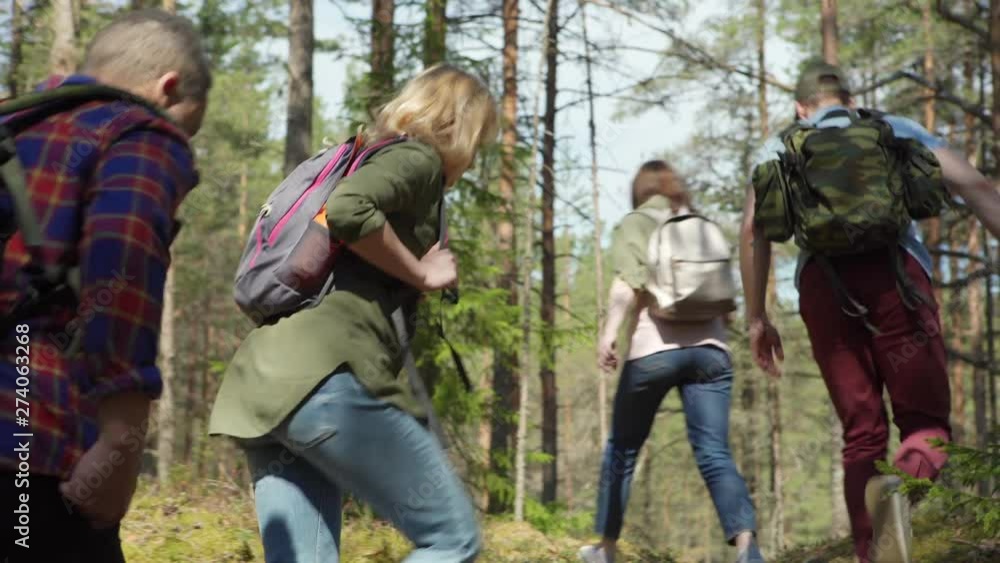 Team of four young travelers with backpacks walking through pine forest during group hike, back view follow shot Team of four young travelers with backpacks walking through pine forest during group hike, back view follow shot