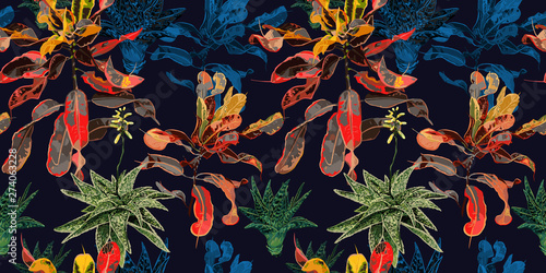 Seamless pattern. Cacti, succulents and ficus.