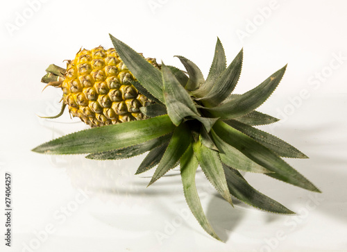 pineapple fruit of sylhet bangladesh photo