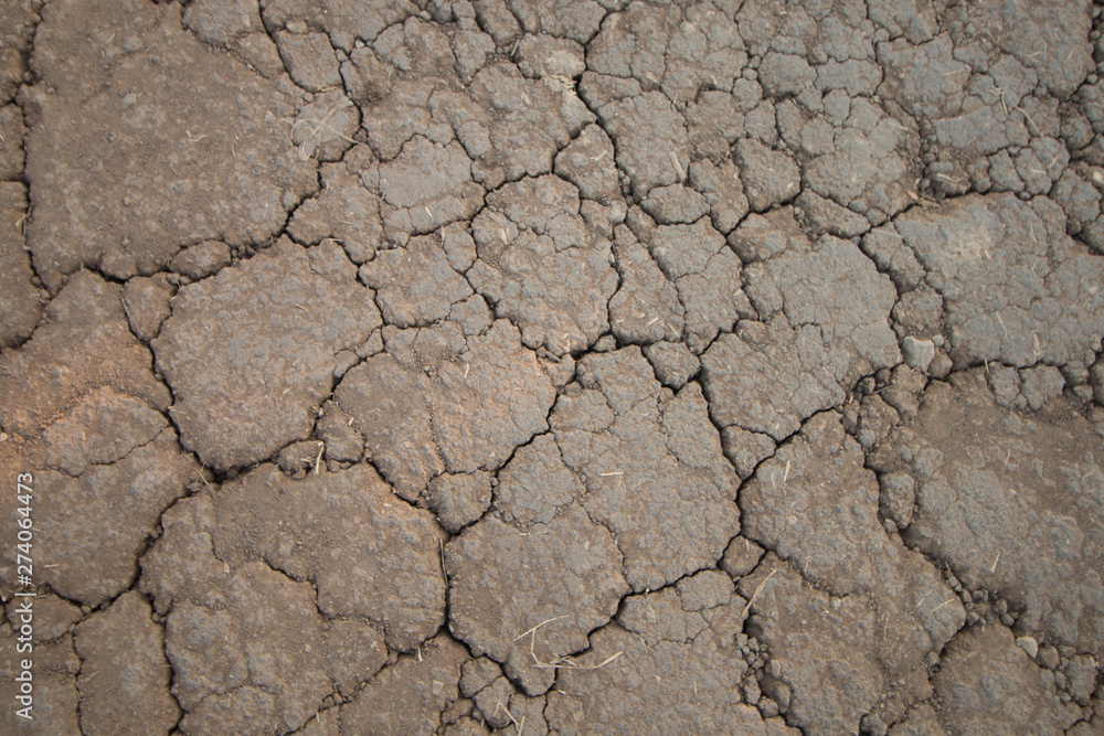 dry cracked earth background dry cracked earth background