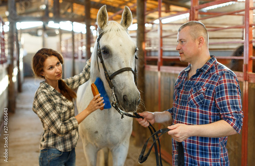 Portrait of couple cleaning horse while standing at stabling