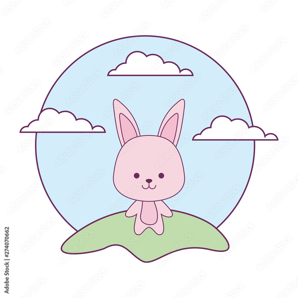 cute rabbit animal in landscape cute rabbit animal in landscape