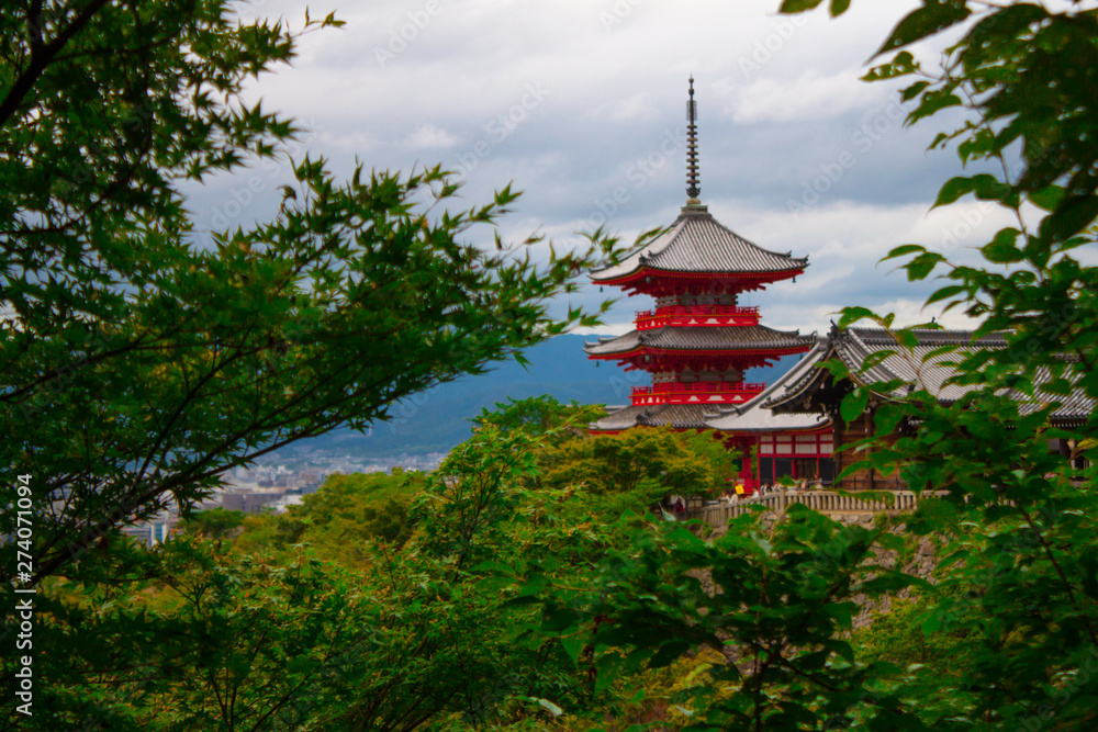Obraz premium Kiyomizu temple 