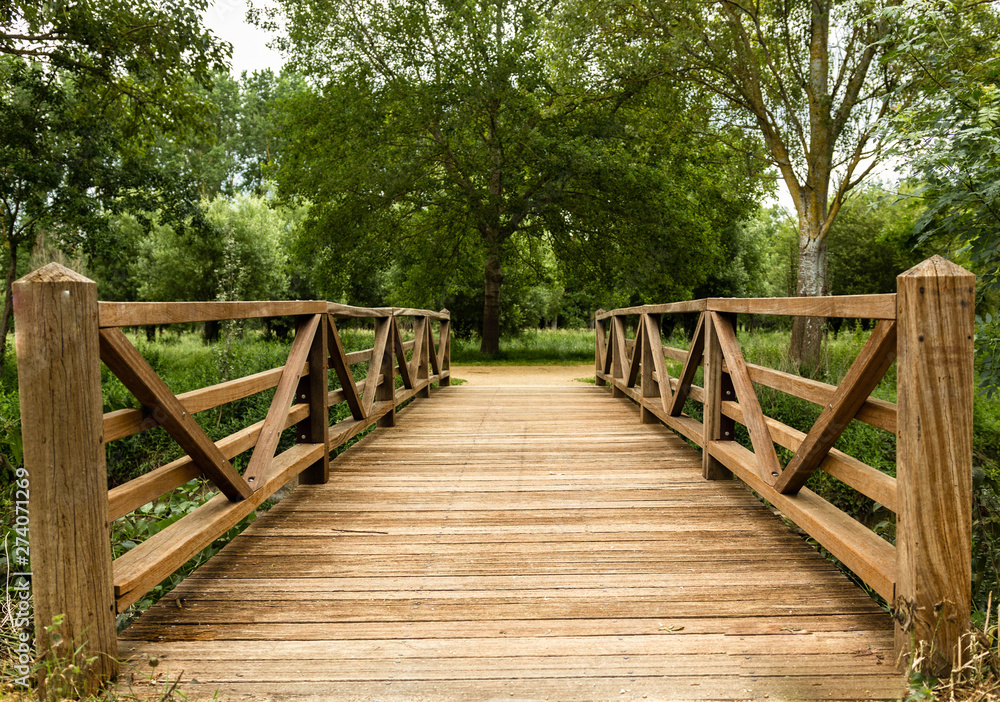 Pont en bois parc nature