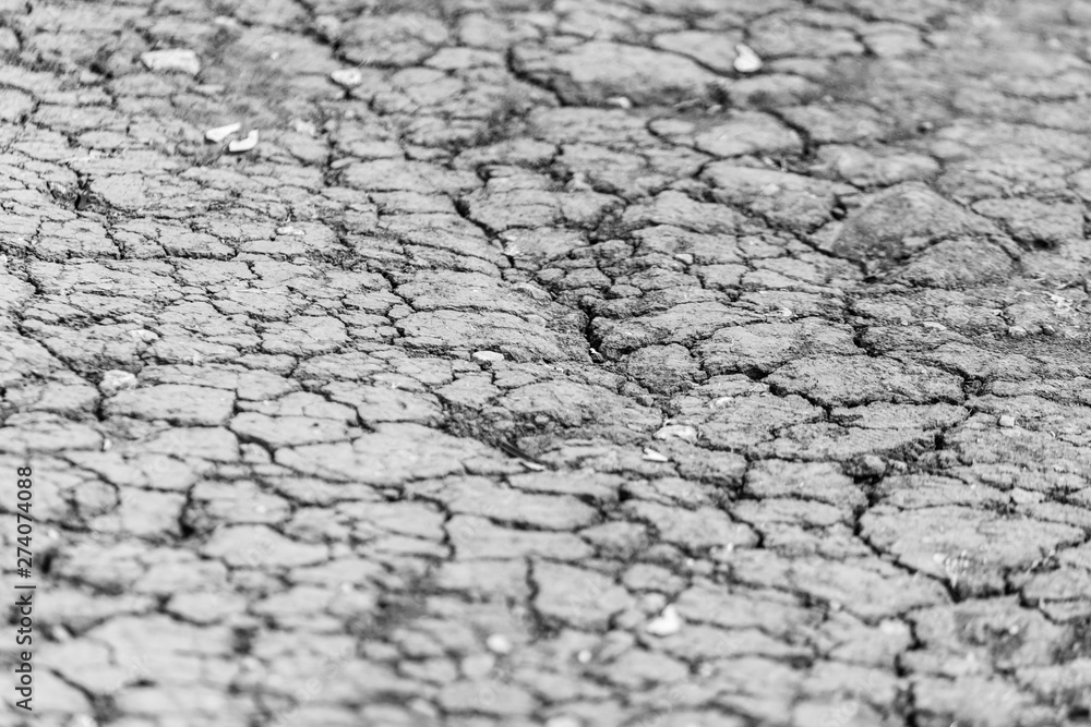 Cracked soil as an abstract background Cracked soil as an abstract background