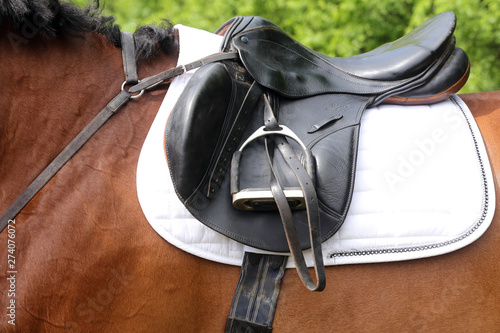 Close up of a port horse during competition under saddle outdoors