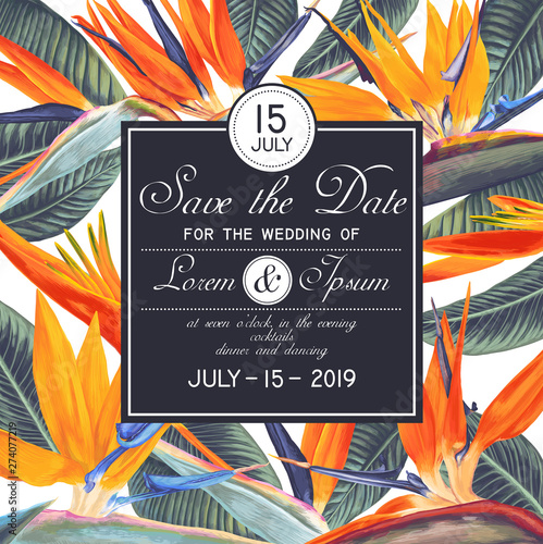 Wedding or party invitation template with tropical flowers - Strelitzia, South African plant, called crane flower or bird of paradise. Save the Date card with botanical design in realistic style.