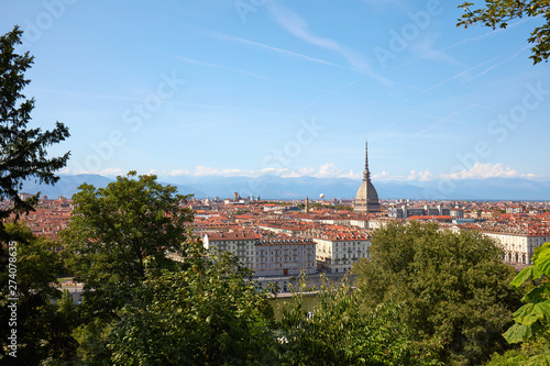 Turin skyline view and Mole Antonelliana tower seen from the hill with vegetation in a sunny summer day in Italy