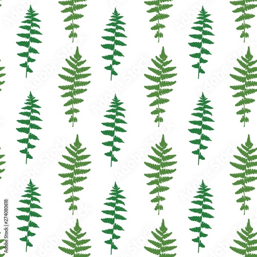 Seamless vector pattern of green leaves of fern.