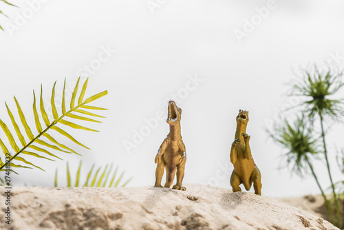 Fototapeta Naklejka Na Ścianę i Meble -  selective focus of toy dinosaurs roaring on sand dune with tropical leaves