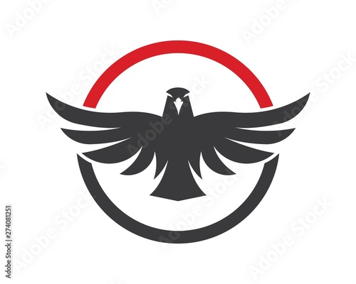 falcon,eagle logo icon vector illustration design