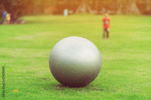 Large gray rubber balls placed on green grass in the public park. © JinnaritT