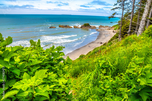 Beautiful Morning Hike on Ruby Beach in Olympic National Park, Washington