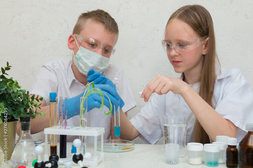 A girl and a teenager boy in a biochemical laboratory at a school are conducting experiments. On the table is a robot, test tubes, plants, a microscope. STEM & STEAM education. Scientific summer camp. A girl and a teenager boy in a biochemical laboratory at a school are conducting experiments. On the table is a robot, test tubes, plants, a microscope. STEM & STEAM education. Scientific summer camp.