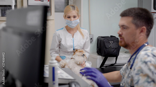 Close up dog having ultrasound scan at vets