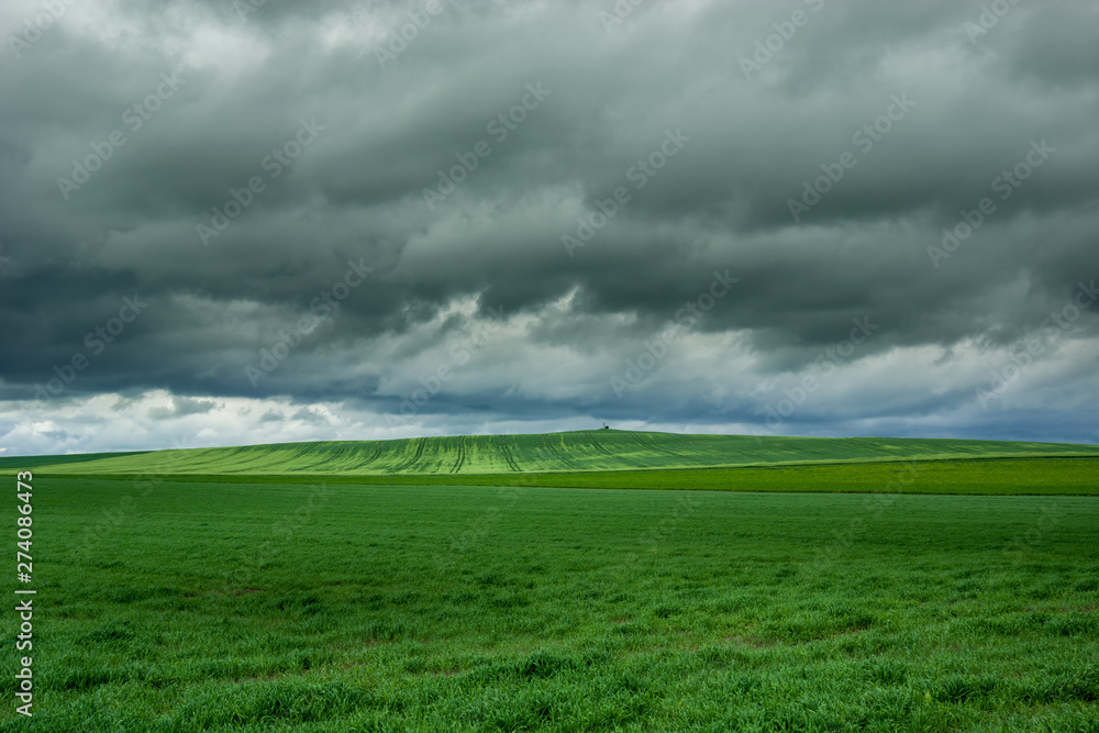 Big green fields, horizon and cloudy sky