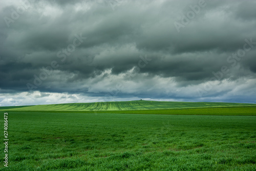 Big green fields  horizon and cloudy sky