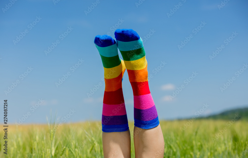 female legs in LGBT socks raised up on a wheat field - obrazy, fototapety, plakaty 