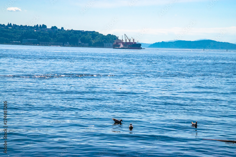 Naklejka premium Beautiful Clear Day In Seattle, Washington