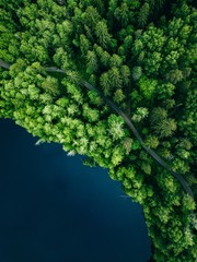 Aerial top view of country road in green summer forest and blue lake. Rural landscape in Finland.