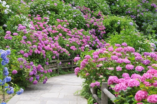 下田公園