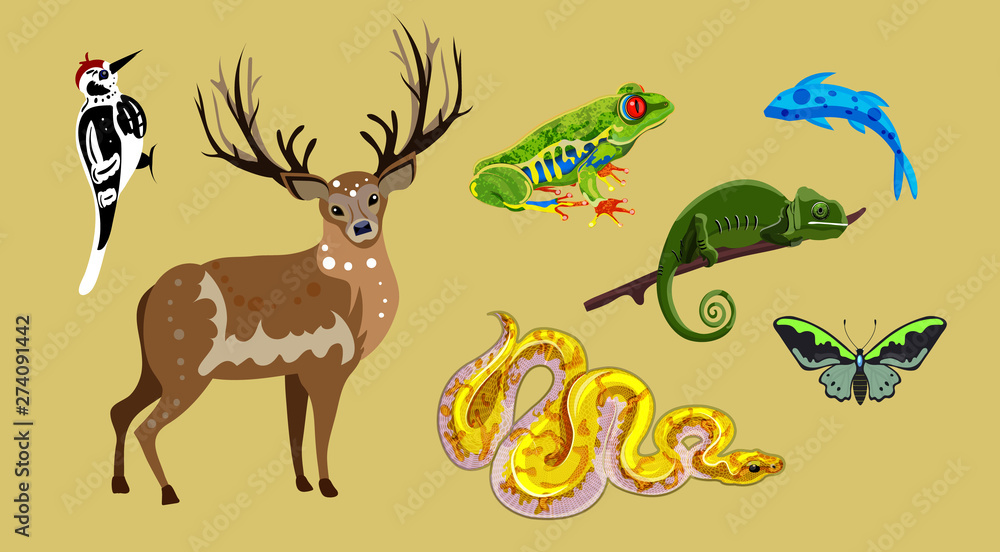 Set of isolated cartoon animals, Royal deer, tree frog, banana python, blue carp, great spotted woodpecker, chamaeleon, butterfly Ornithoptera Priamus Poseidon