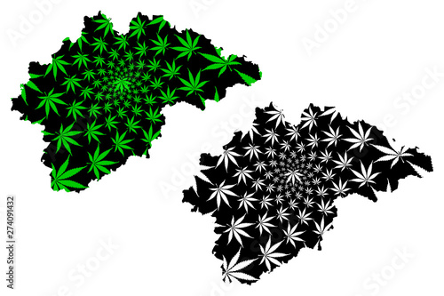 Novgorod Oblast (Russia, Subjects of the Russian Federation, Oblasts of Russia) map is designed cannabis leaf green and black, Novgorod Oblast map made of marijuana (marihuana,THC) foliage....