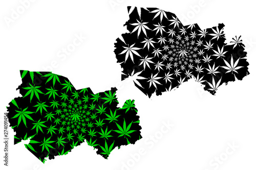 Novosibirsk Oblast (Russia, Subjects of the Russian Federation, Oblasts of Russia) map is designed cannabis leaf green and black, Novosibirsk Oblast map made of marijuana (marihuana,THC) foliage....