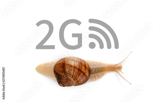 Mobile 2G network technology cellular networks concept. Internet High speed mobile broadband. Wireless cellular Signaling data. Snail, isolated white photo