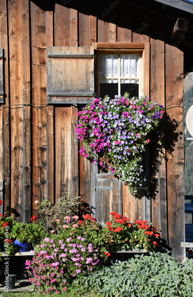 Blumenfenster in den Alpen