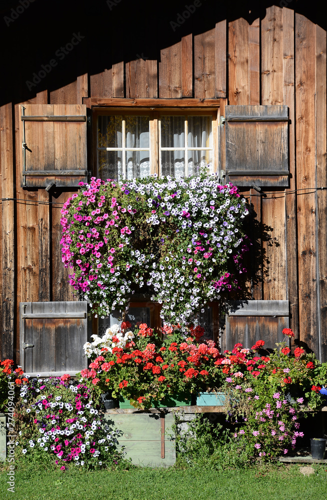 Fototapeta premium Blumenfenster in den Alpen