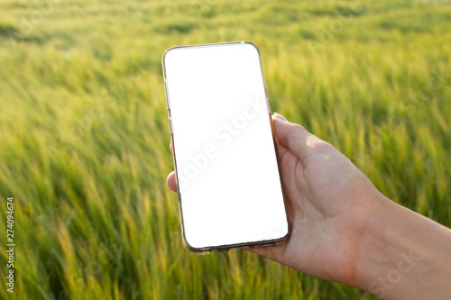Telefon w dłoni biały ekran pole w polu blank screen