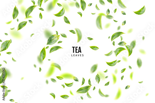Flying Fresh Green Tea Leaves Vector Background