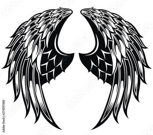 Pair of spread out eagle bird or angel wings