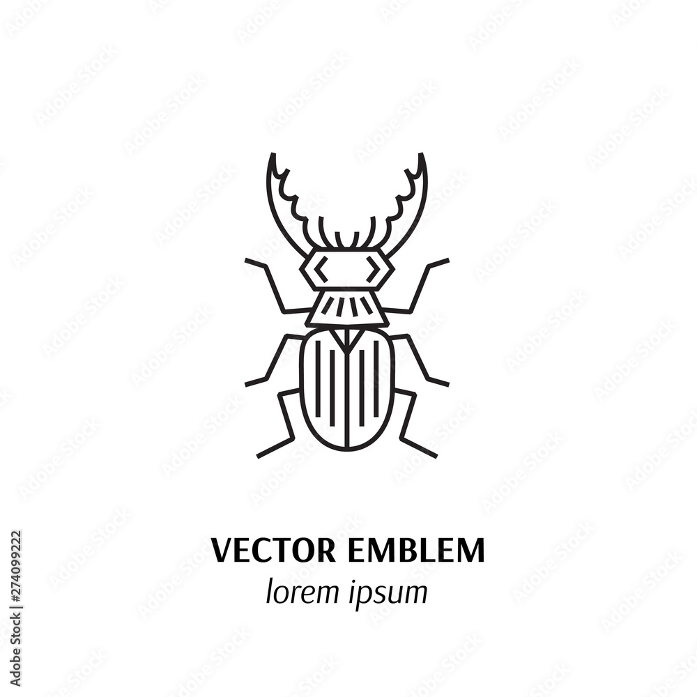 Beetle deer line icon isolated on white background Beetle deer line icon isolated on white background