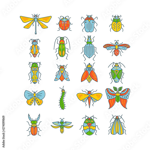Bugs and insects isolated on white background